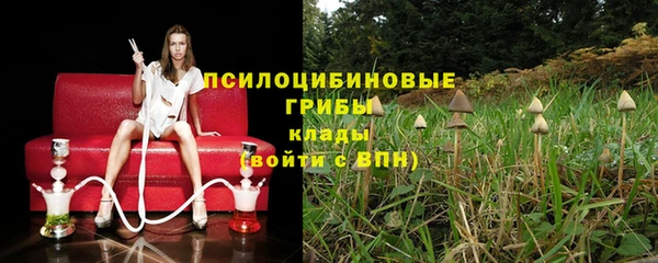 СК Абинск