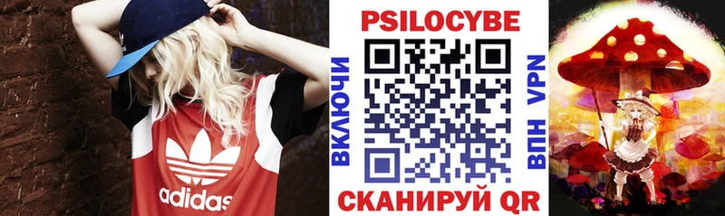 Псилоцибиновые грибы Psilocybine cubensis МЕГА tor Жуковский